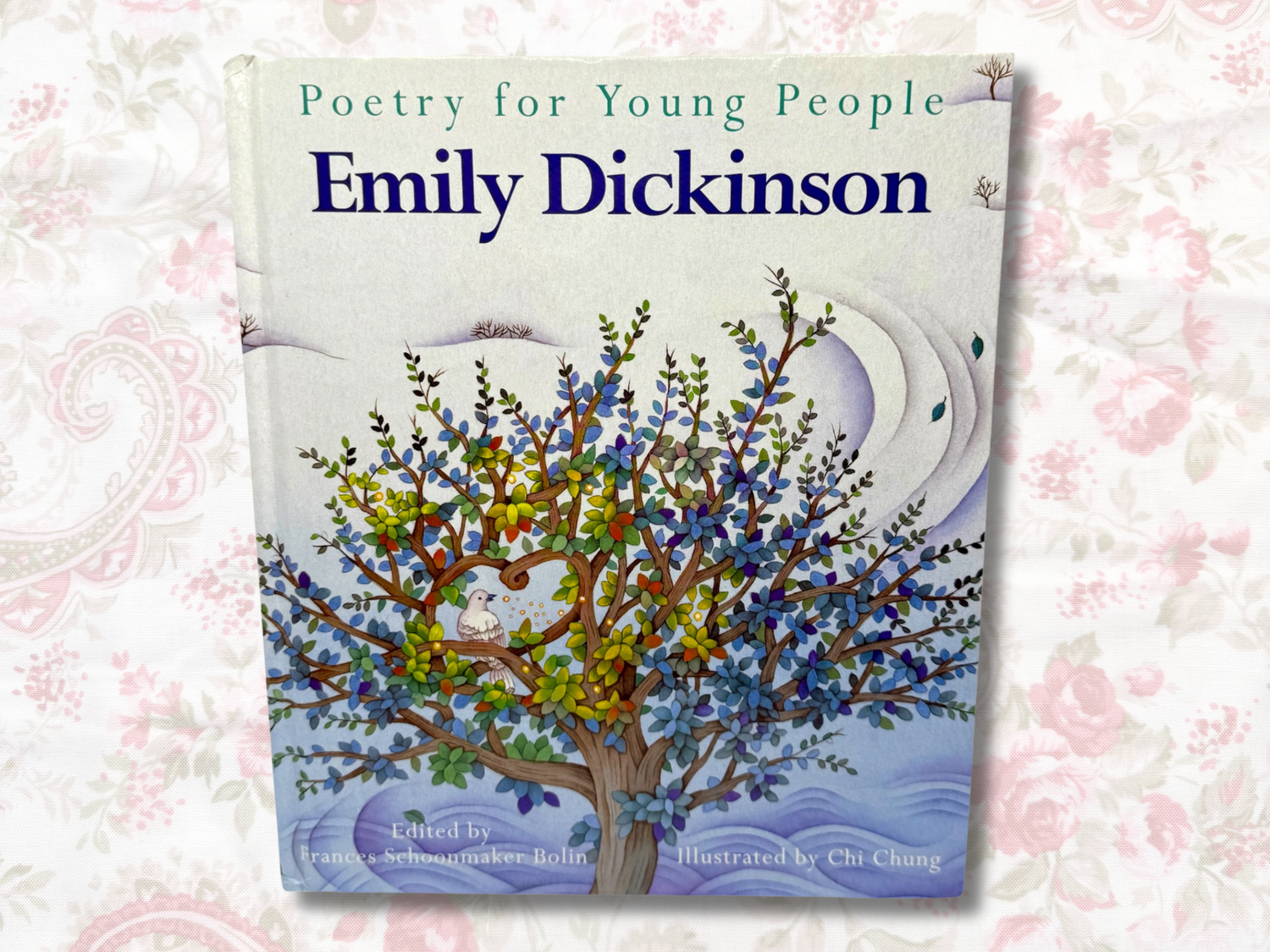 Emily Dickinson Poetry for Young People: Emily Dickinson (USED – Great Condition, Illustrated Hardcover Edition for Kids)