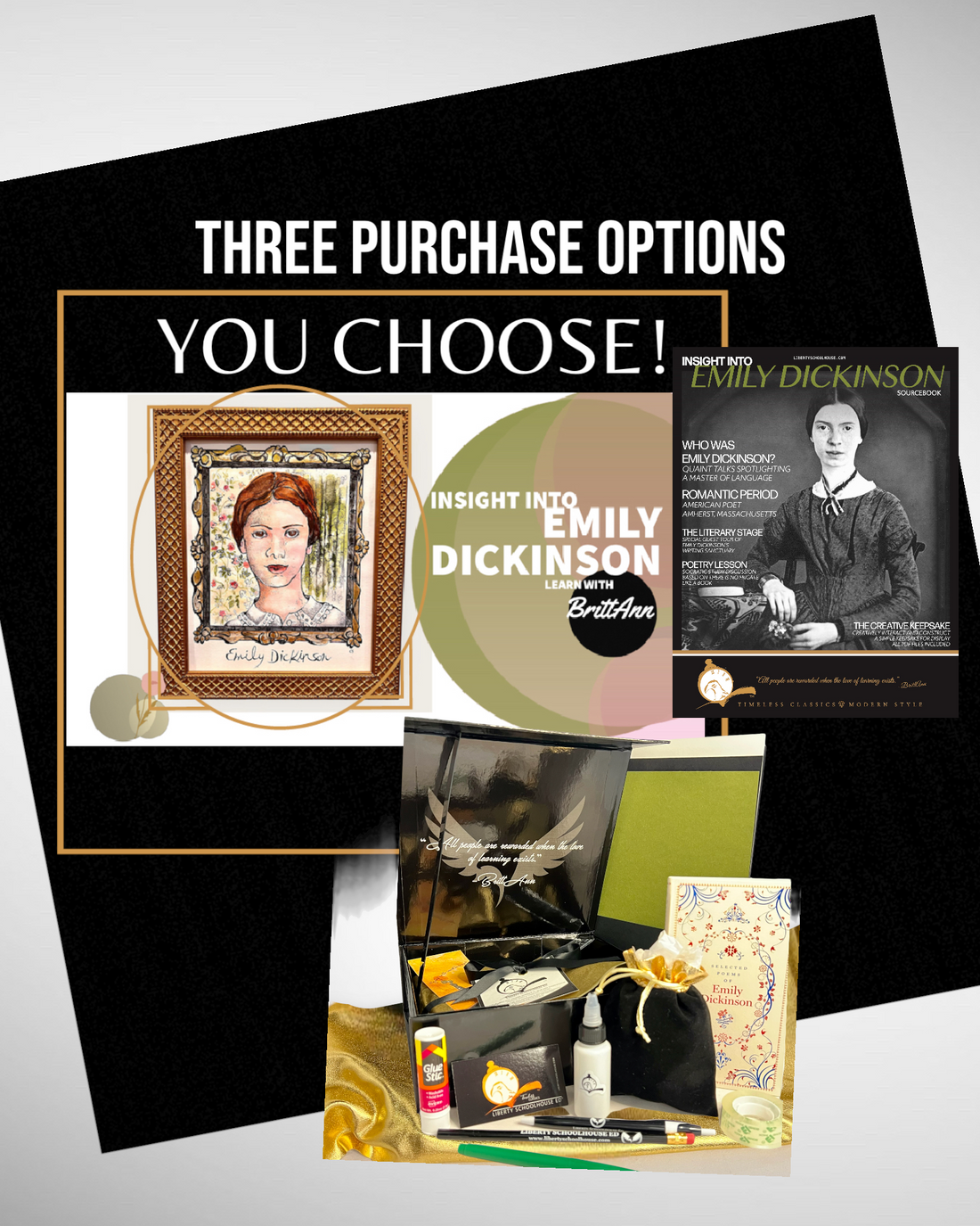 INSIGHT INTO EMILY DICKINSON COURSE OPTIONS
